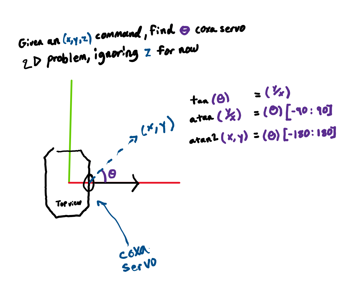 coxa joint example