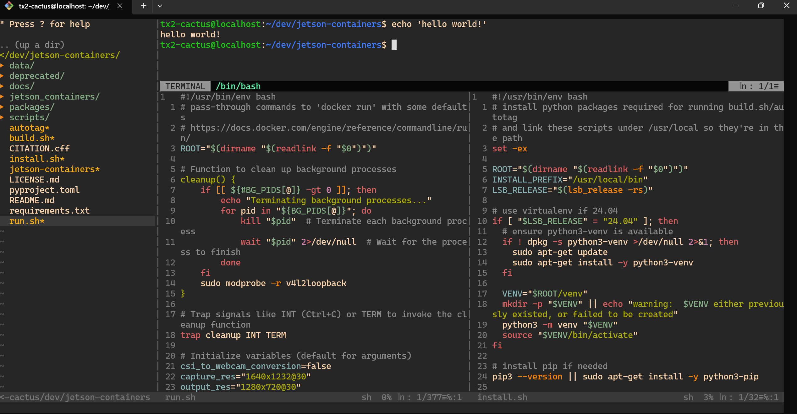 vim_with_plugs